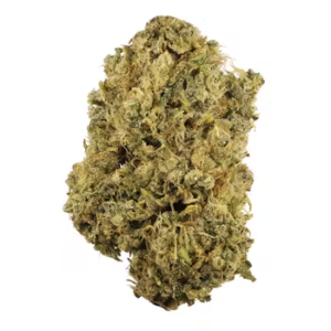 Where can i order Durban Poison strain online in Greece 